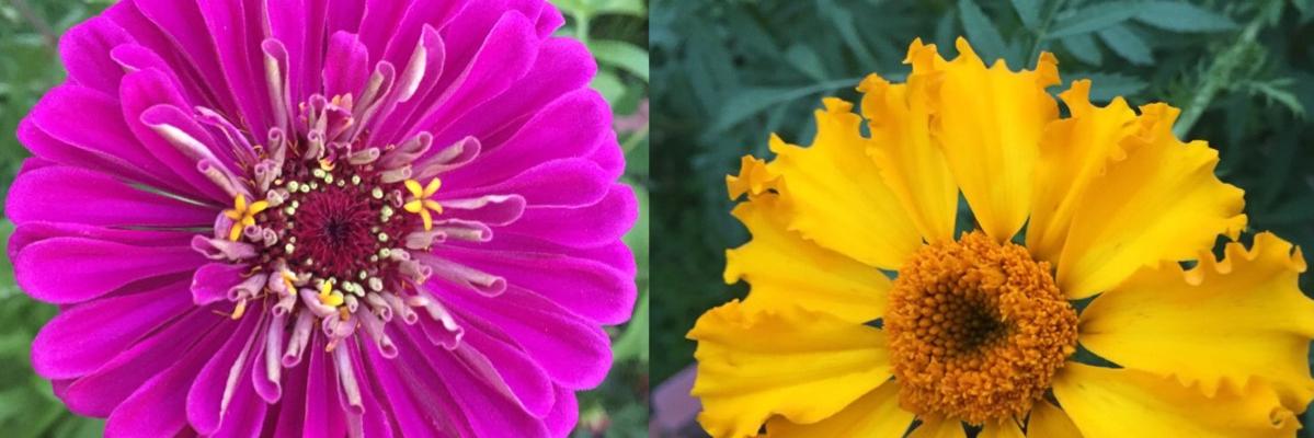JJBihari's profile banner image
