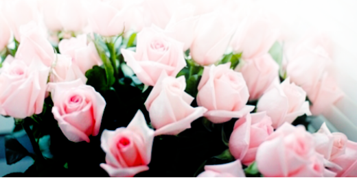 IlariaStyle_S's profile banner image