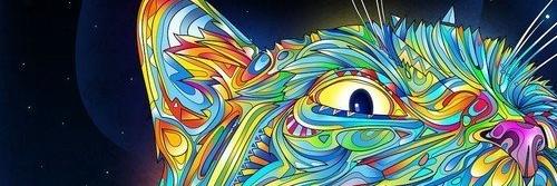 lena_olin's profile banner image