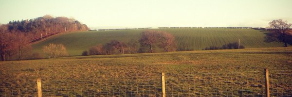 louisekai Profile Banner