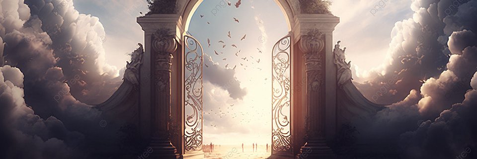 vanessa gomez banner