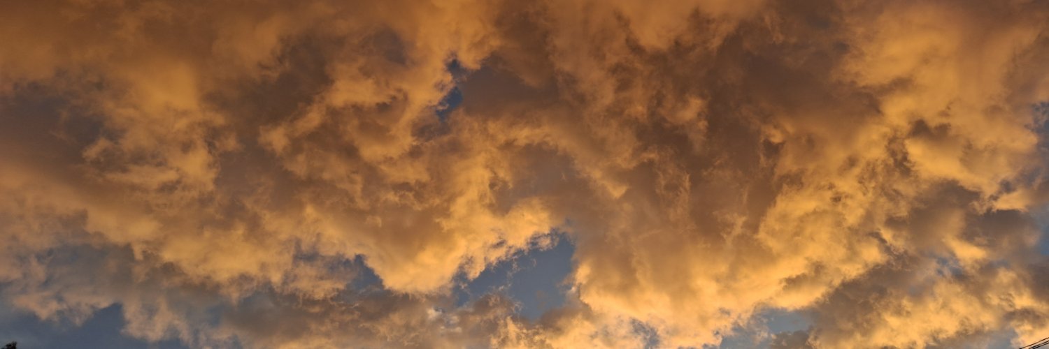 alhelySC's profile banner image