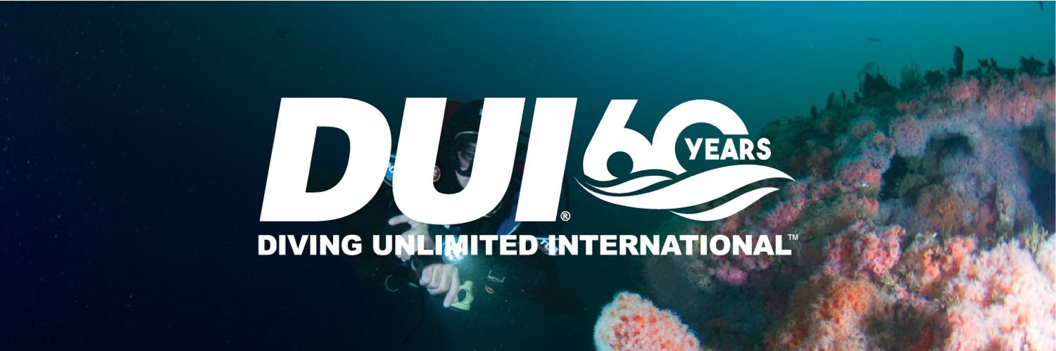DiveDUI's profile banner image
