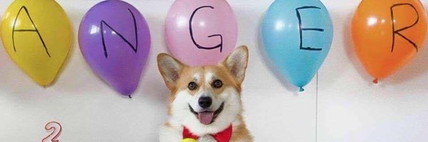 corgisama Profile Banner