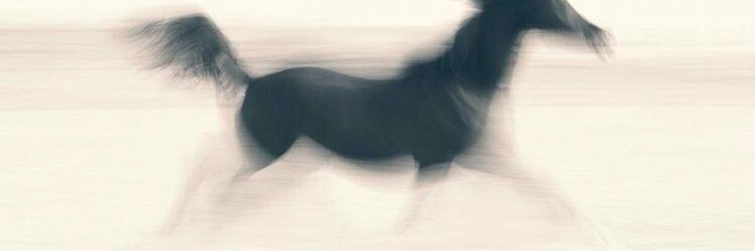 Lvmxxs's profile banner image