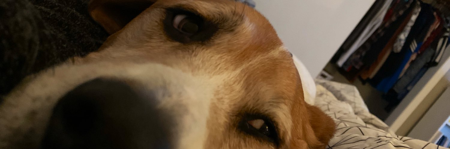 lainndiane's profile banner image