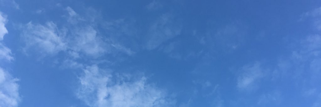 nunyrgarza's profile banner image