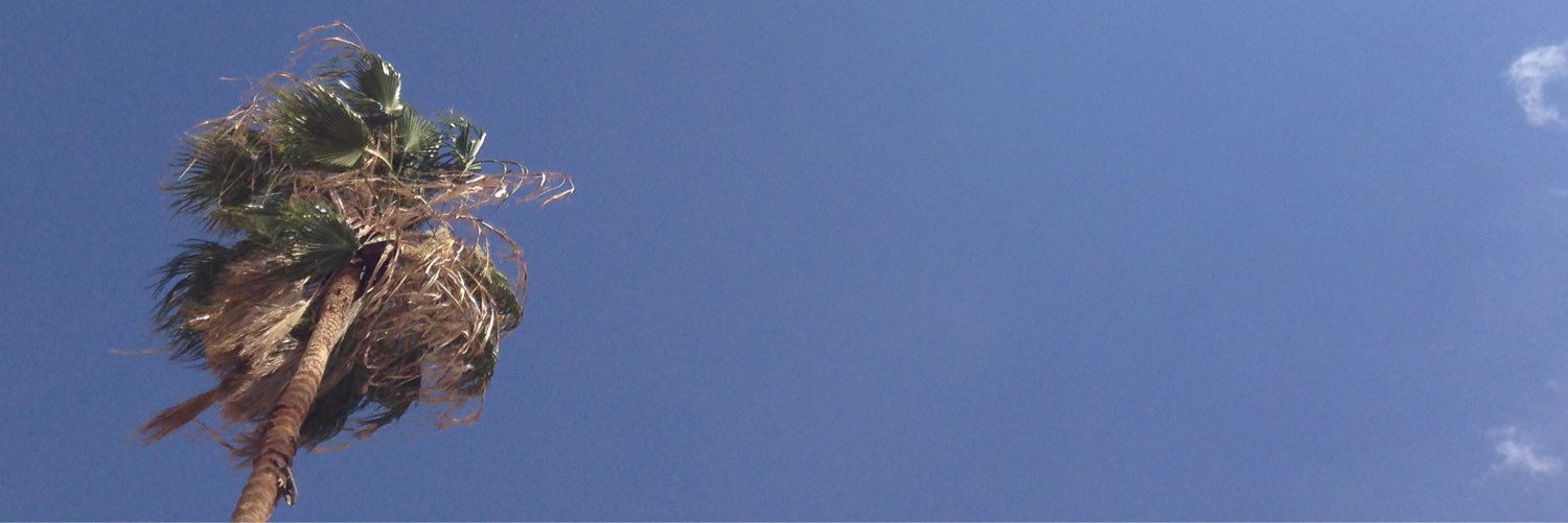 Ninools's profile banner image