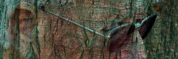 EarsJim Profile Banner