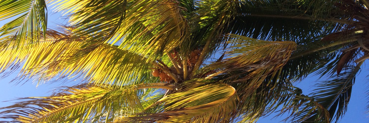 3FIStEdwards's profile banner image