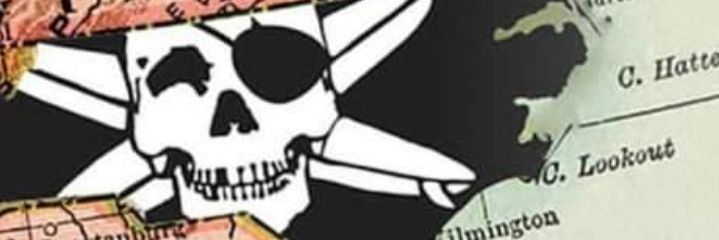 bluhvn1's profile banner image