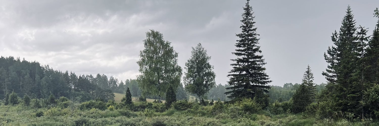 m_munise's profile banner image