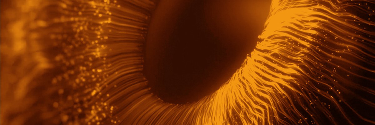 packetninjas's profile banner image