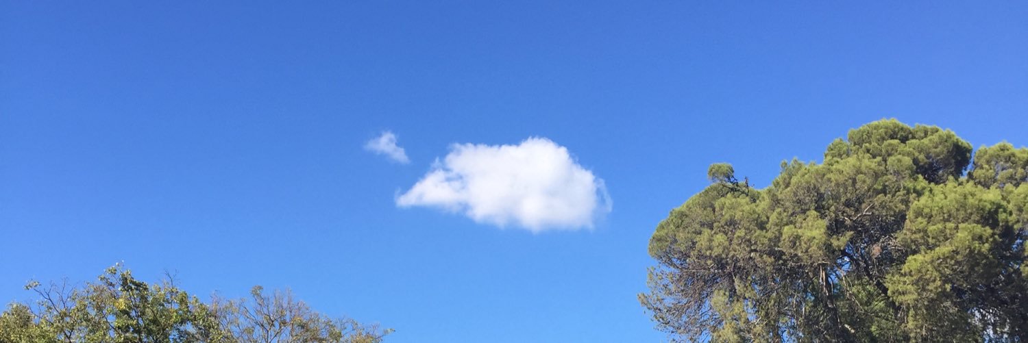 marvintrk's profile banner image