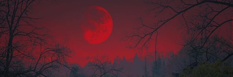 ivaanste's profile banner image