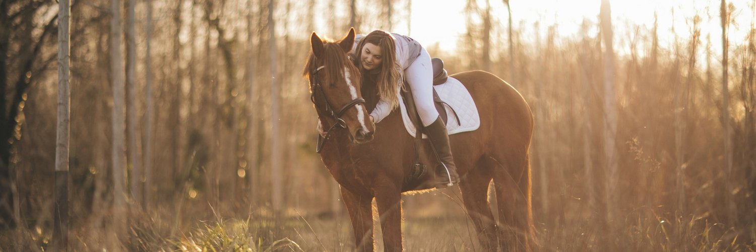Boris Picolo 🐴 banner