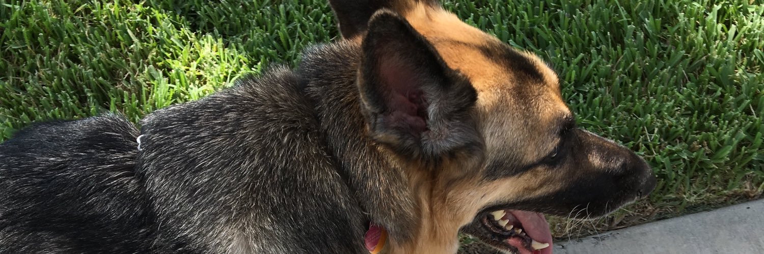 Andrea Reichenbach banner