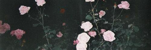 JessLovesMcFly's profile banner image