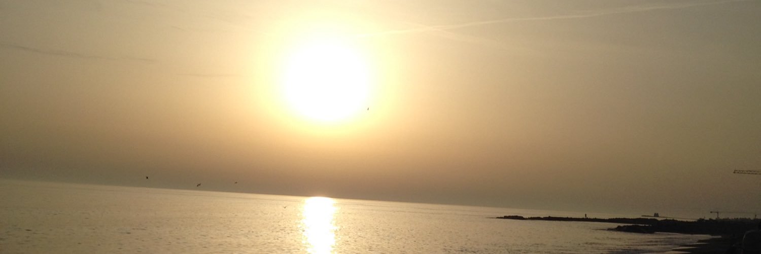 alessandra frassinet banner