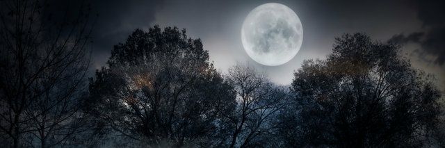 SweetDailies's profile banner image