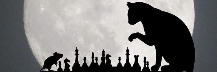 j4remi's profile banner image