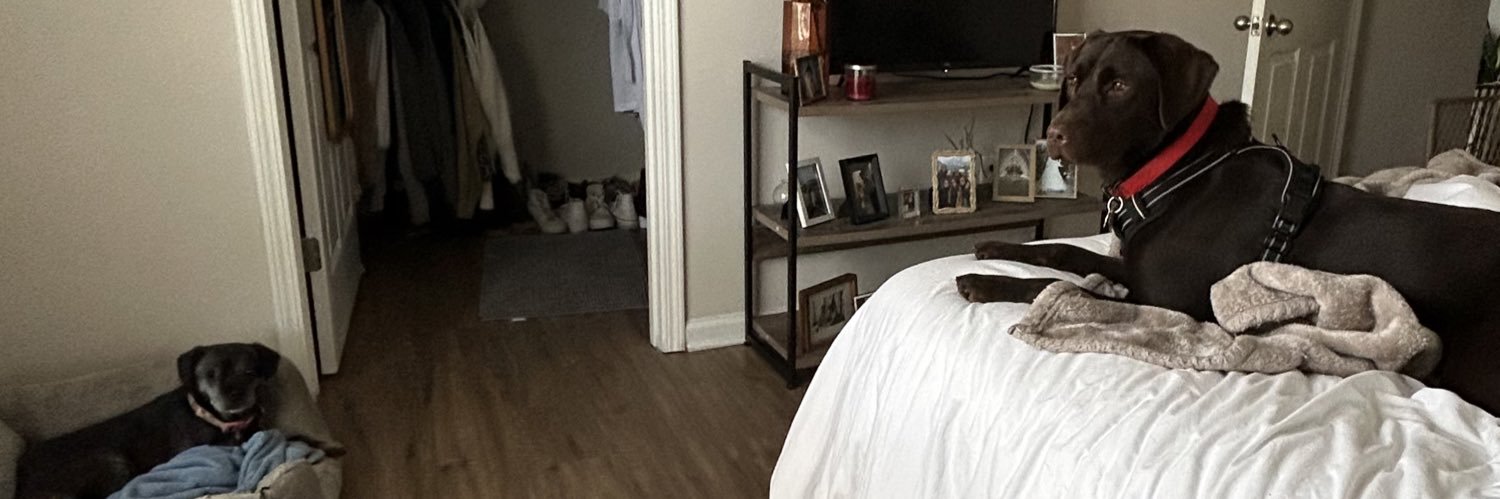 JHayden16's profile banner image