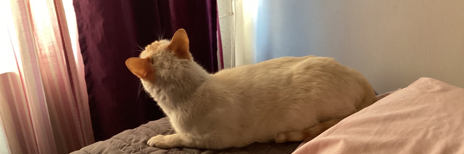 Double Miau 😜 banner