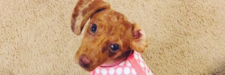_kels223's profile banner image