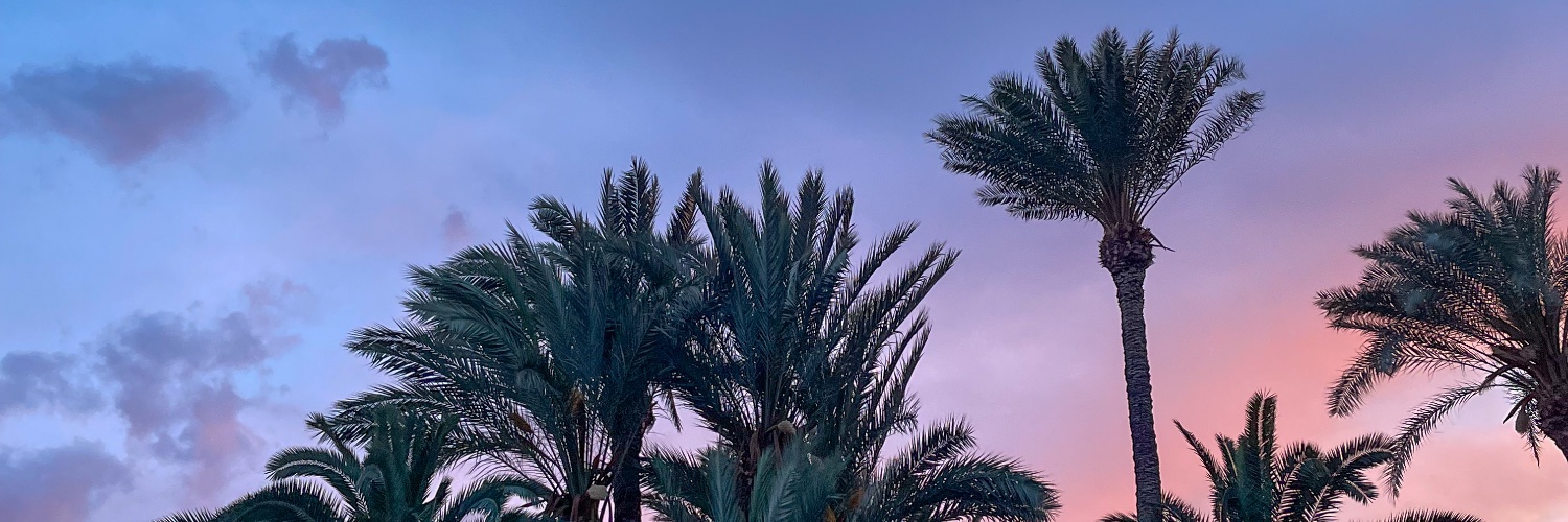 nererra's profile banner image