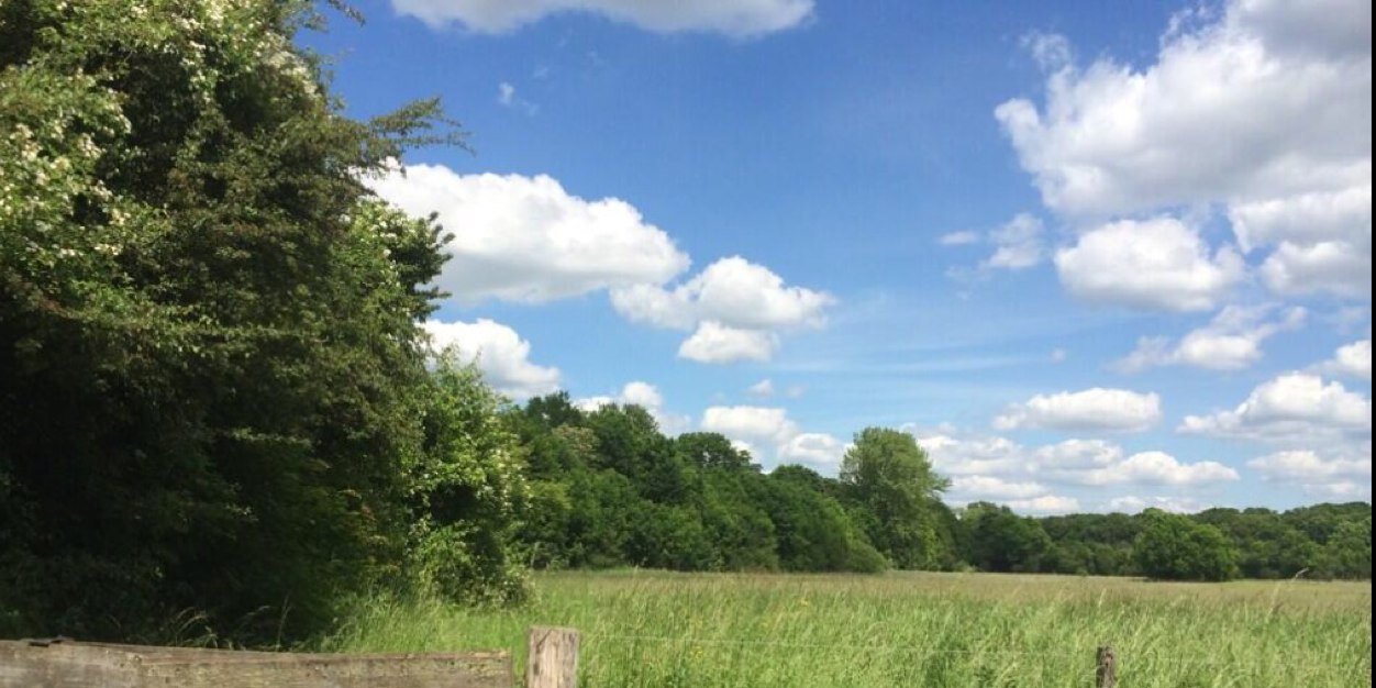 Tina📯🇪🇺🇺🇦🇮🇱🏳️‍🌈🏳️‍⚧️ ver(t)eidigt fdGO banner