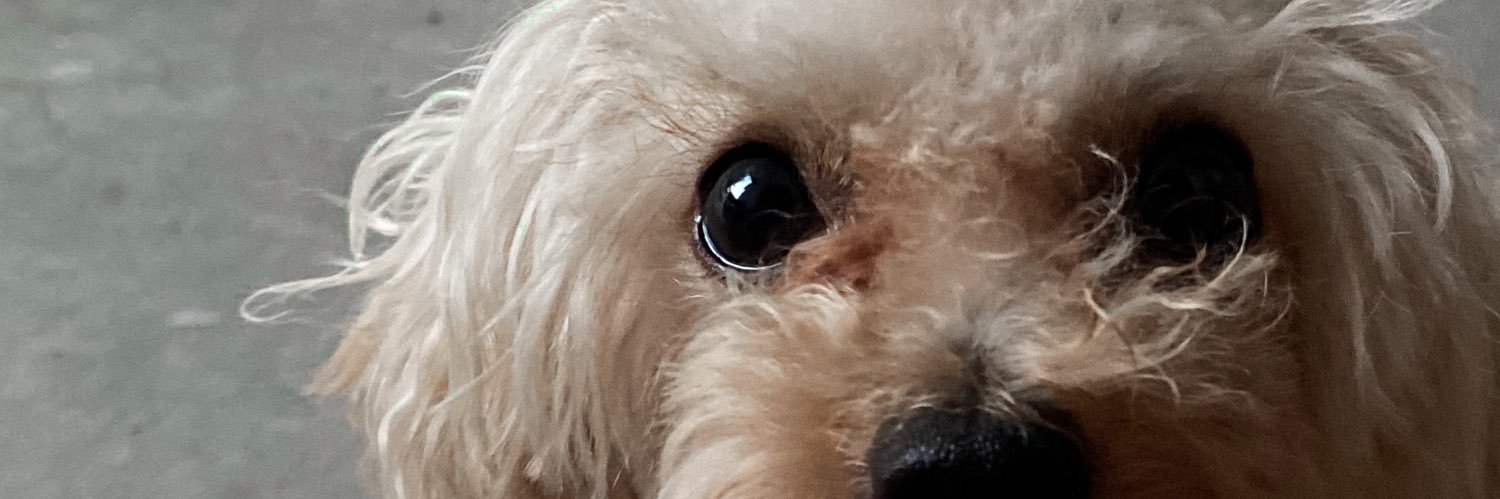brisgimenez's profile banner image