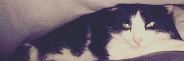 96kenz's profile banner image