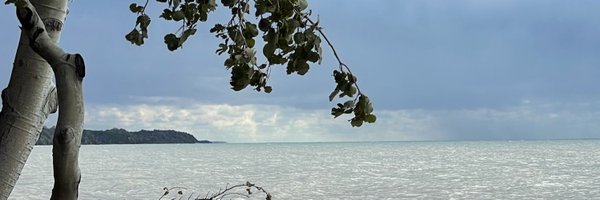 magenta_3 Profile Banner