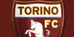iltorodicarlo's profile banner image