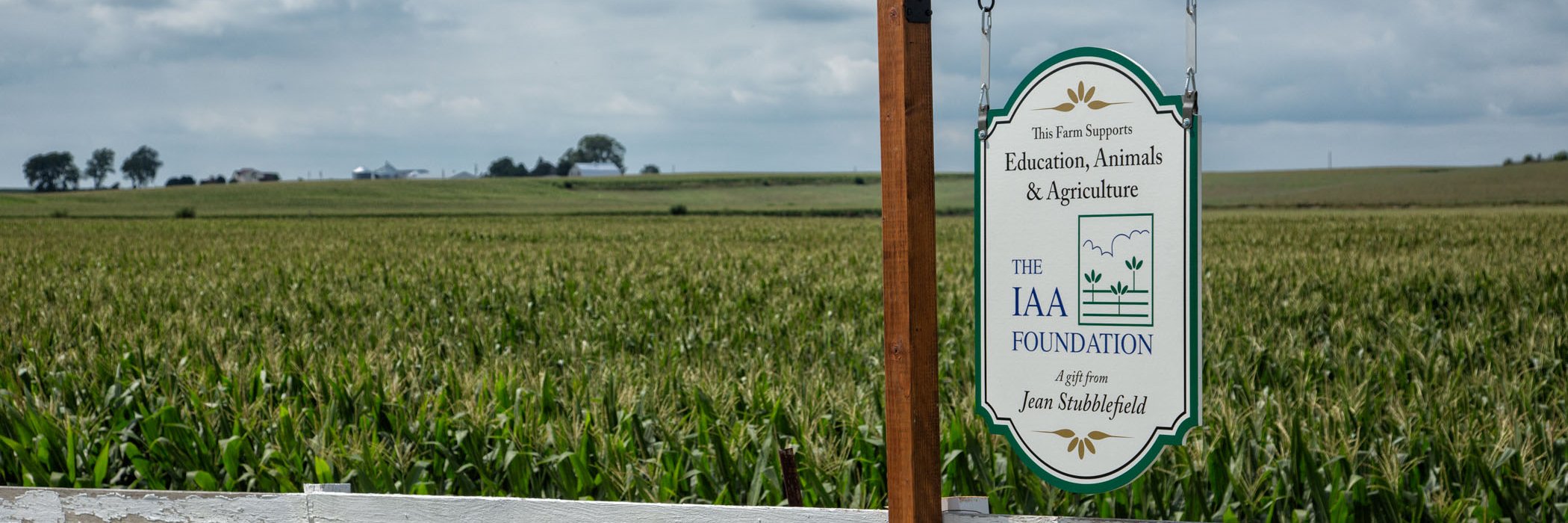 IAA Foundation banner