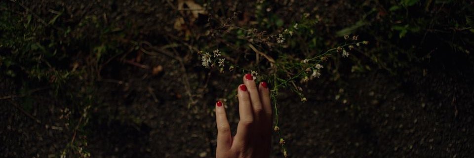 ju_litL's profile banner image