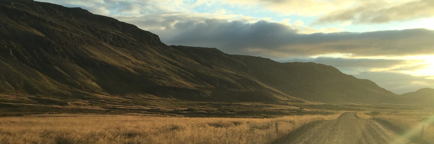 Sarah Mathew, MD, FACS banner