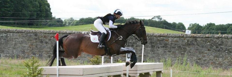 LKEquestrian's profile banner image