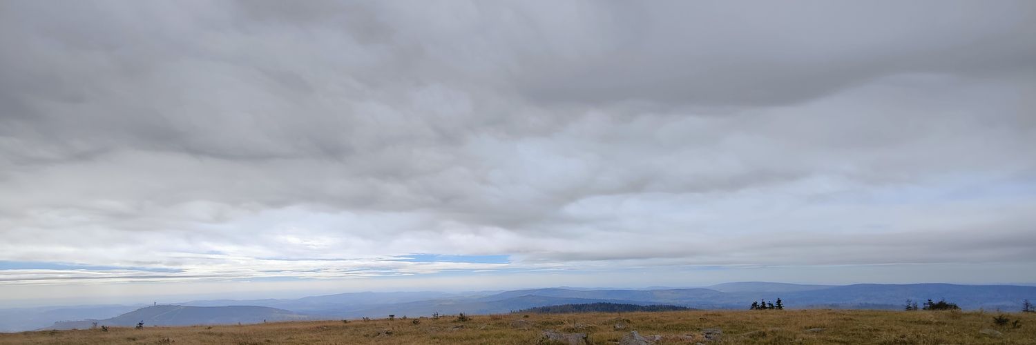 Ivan Masli banner