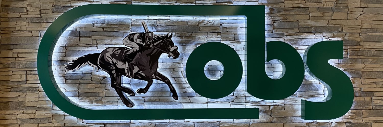 OBSSales's banner