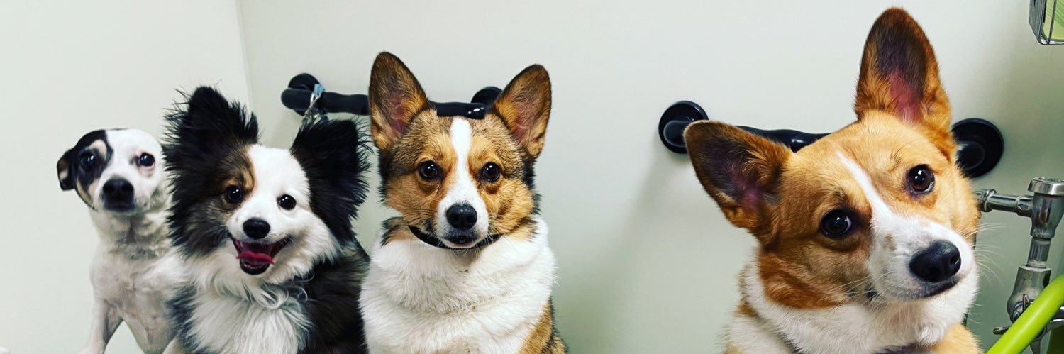 Who_bert30's profile banner image