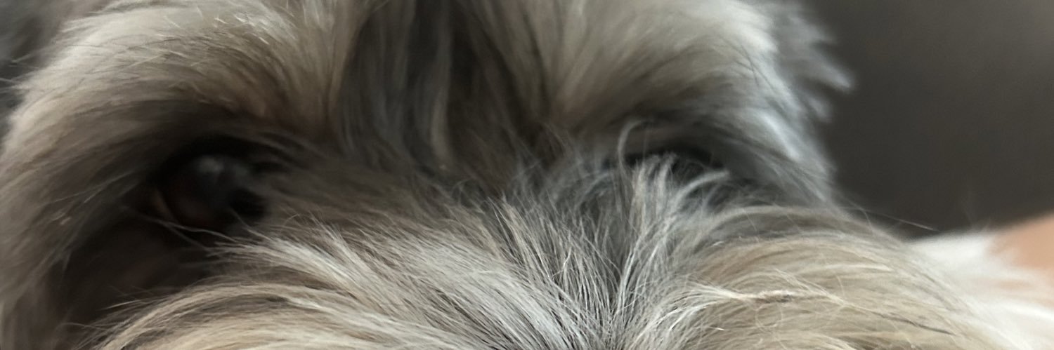 PedroJoseZS's profile banner image