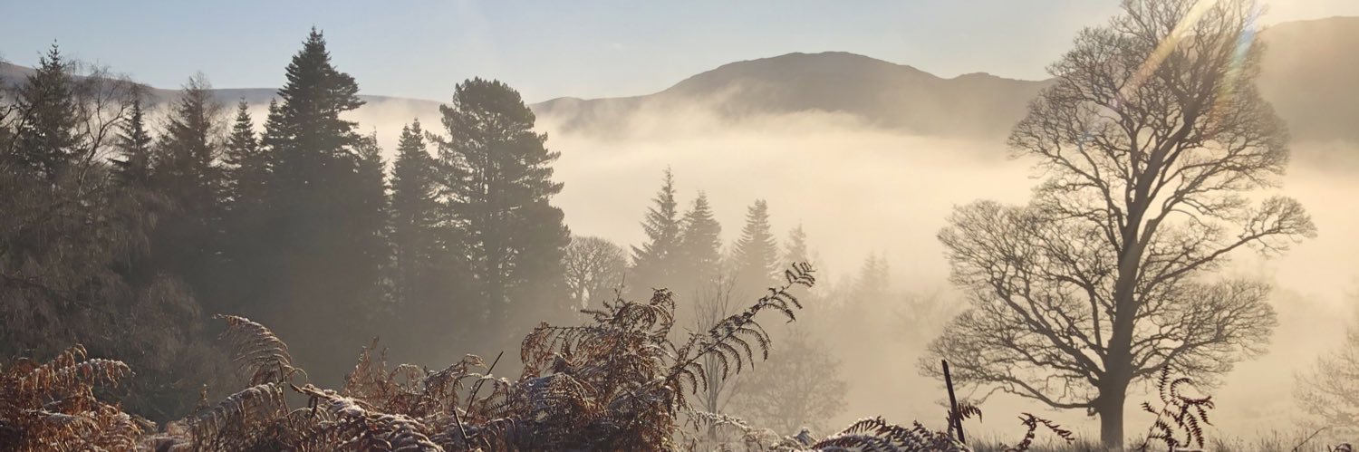 maddieoc_'s profile banner image