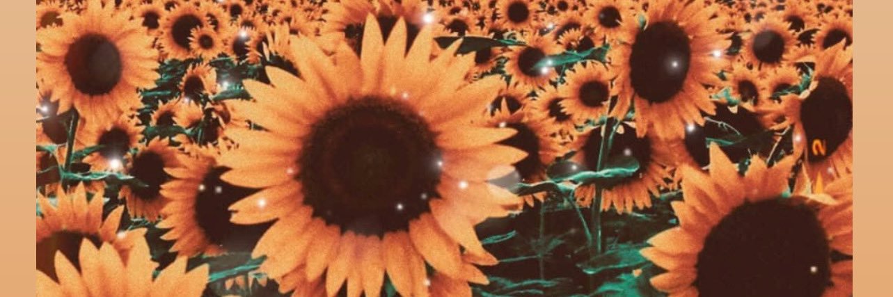 Jamia_21's profile banner image