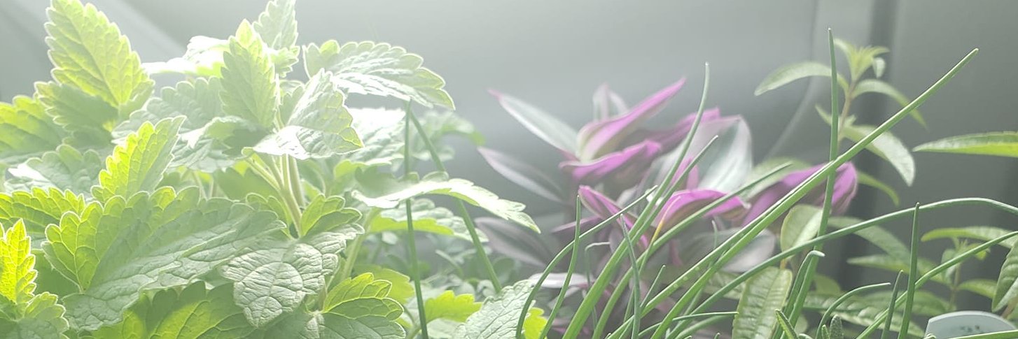 ErinSauerVO's profile banner image