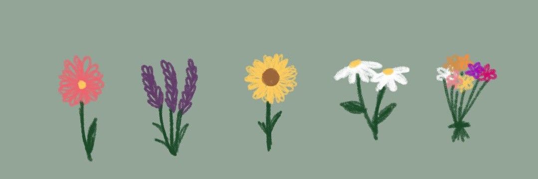 hollymburrows's profile banner image