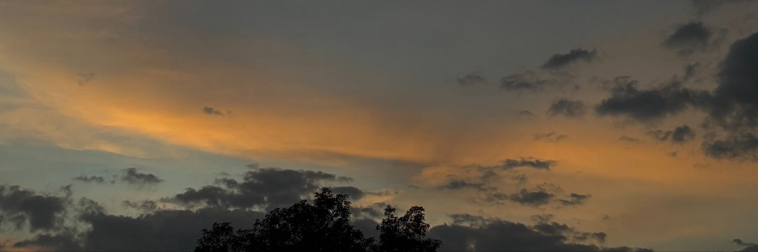 a_valms's profile banner image