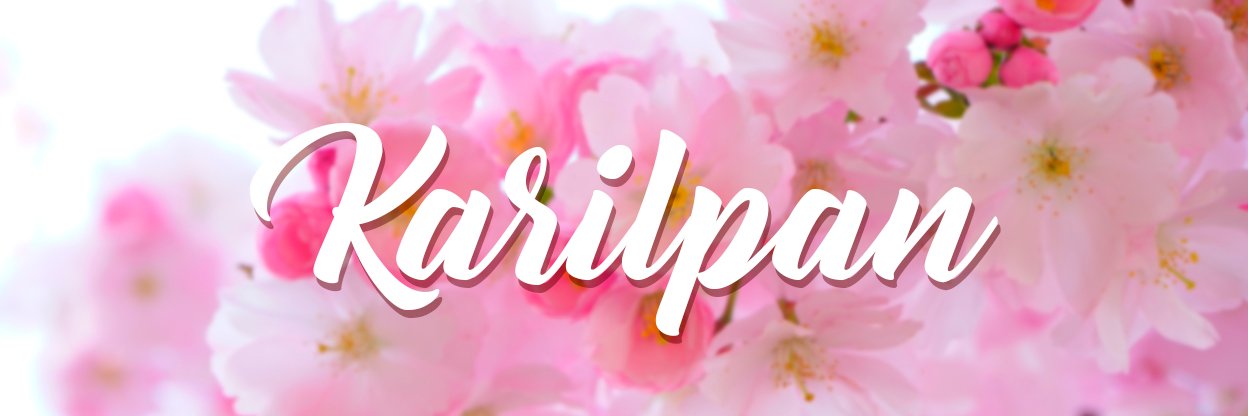 KariLPan's profile banner image