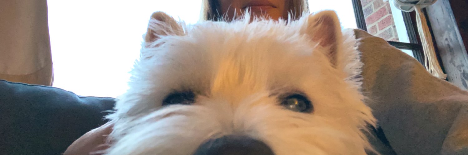 catherineelzing's profile banner image
