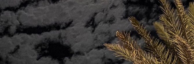 LoveSpyer23's profile banner image